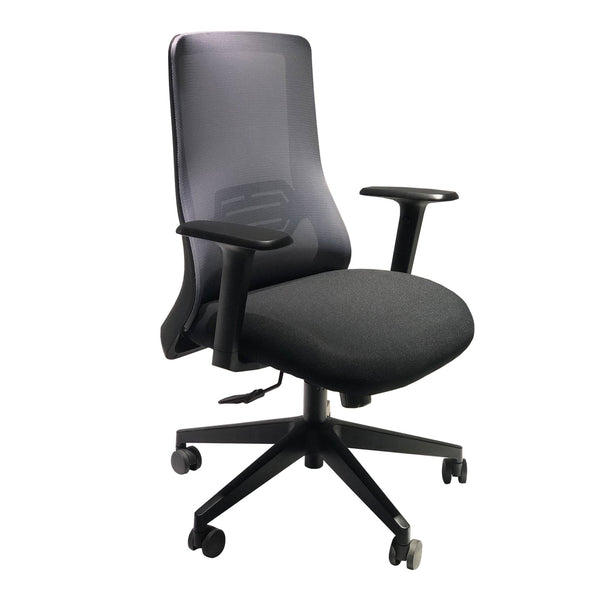 Mesh Back Adjustable Ergonomic Office Swivel Chair With Padded Seat And Casters, Black And Gray